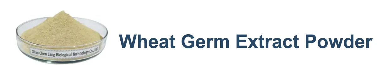 Wheat Germ Extract Powder.jpg